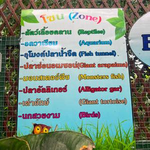 รูปภาพที่ 5