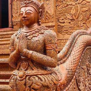 รูปภาพที่ 7