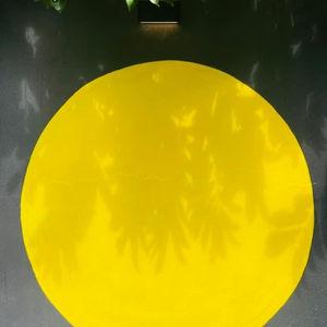 编号6