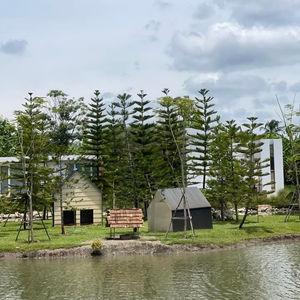 รูปภาพที่ 4