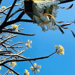 รูปภาพที่ 4