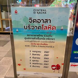รูปภาพที่ 9