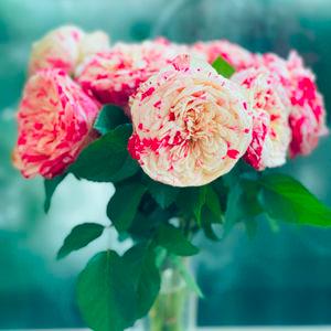 รูปภาพที่ 9