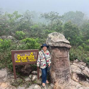 รูปภาพที่ 6