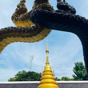 รูปภาพที่ 8