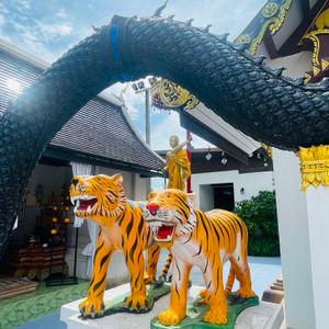 รูปภาพที่ 7