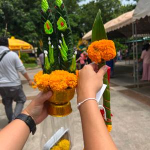 รูปภาพที่ 9