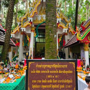 รูปภาพที่ 6