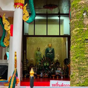 รูปภาพที่ 5