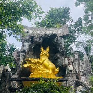 รูปภาพที่ 6