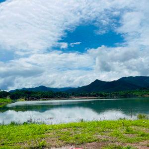 รูปภาพที่ 7