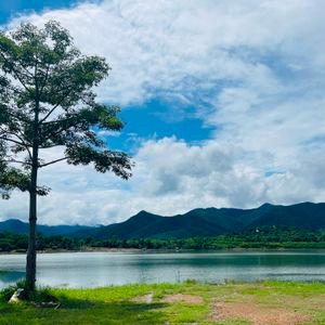 รูปภาพที่ 5