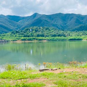 รูปภาพที่ 1