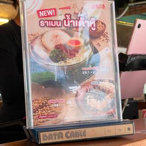 编号9