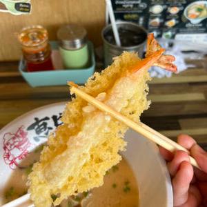 编号4
