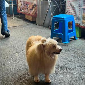 รูปภาพที่ 4