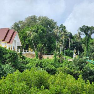 รูปภาพที่ 1