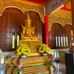 รูปภาพที่ 8