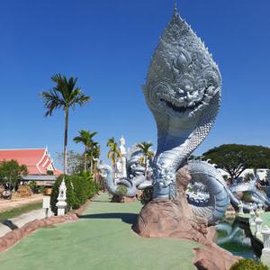 รูปภาพที่ 9