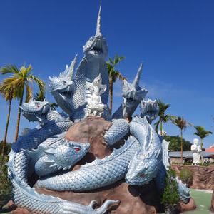รูปภาพที่ 5