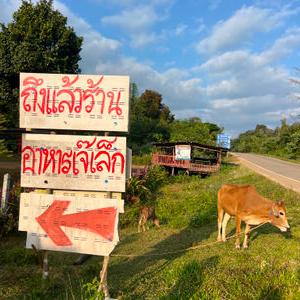 รูปภาพที่ 9