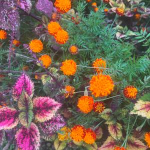 รูปภาพที่ 2