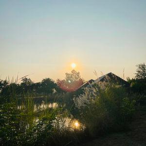 รูปภาพที่ 8