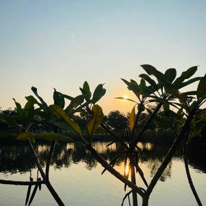 รูปภาพที่ 4