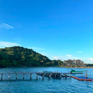 รูปภาพที่ 2