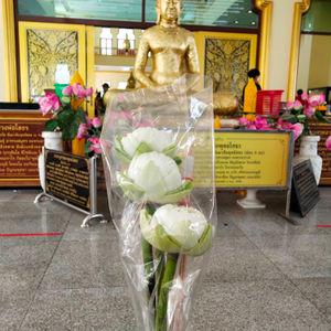 รูปภาพที่ 5