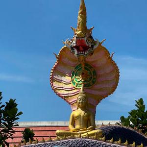 รูปภาพที่ 9