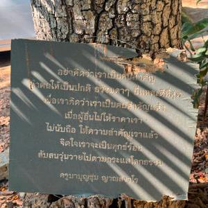 รูปภาพที่ 6