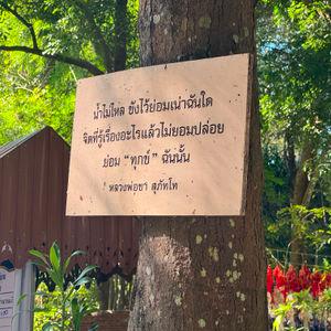 รูปภาพที่ 5