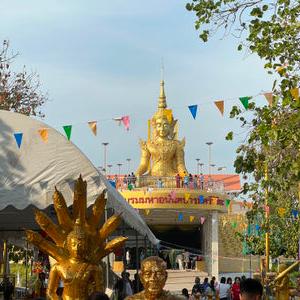 รูปภาพที่ 1