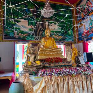 รูปภาพที่ 5