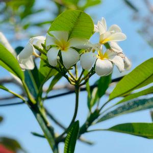 รูปภาพที่ 3