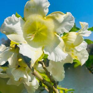 รูปภาพที่ 7