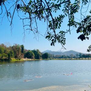 รูปภาพที่ 4