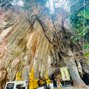 รูปภาพที่ 6