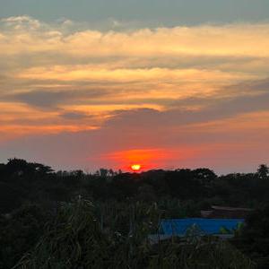 รูปภาพที่ 4