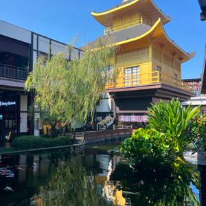 รูปภาพที่ 4