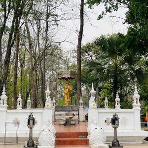 รูปภาพที่ 8
