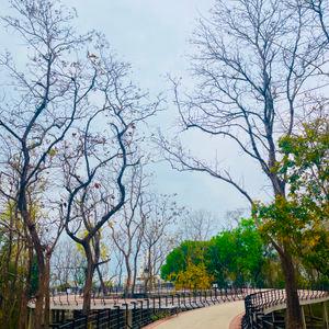 รูปภาพที่ 4