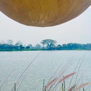 编号8