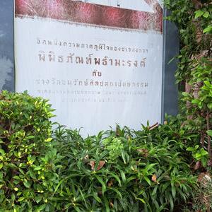 รูปภาพที่ 8