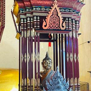 รูปภาพที่ 8