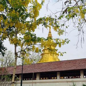 รูปภาพที่ 9