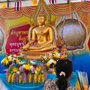 รูปภาพที่ 8