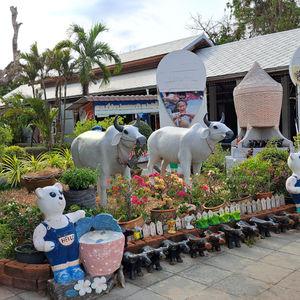 รูปภาพที่ 1