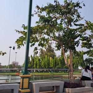 รูปภาพที่ 5